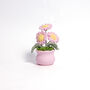 Joyful Daisy And Tulip Crochet Plant Pot Collection, thumbnail 5 of 7