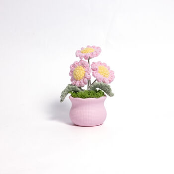 Joyful Daisy And Tulip Crochet Plant Pot Collection, 5 of 7