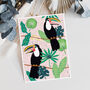 Birthday Toucans Birthday Card, thumbnail 1 of 5