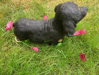Dachshund Garden Ornament With Green Boots Sausage Dog, 3 of 9