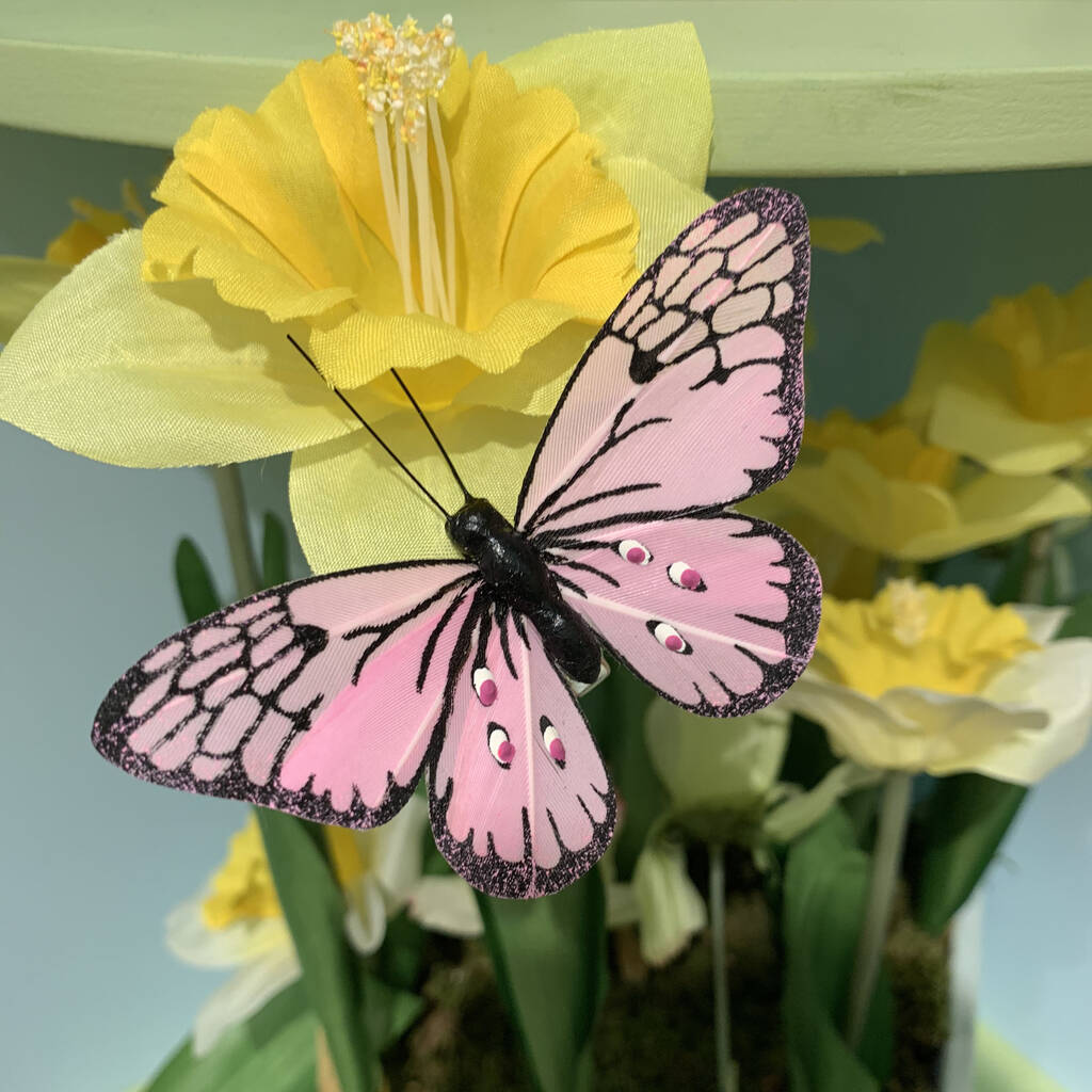 Box Of Six Multicoloured Butterfly Clips By The Chicken And The Egg ...