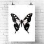 Black And White Butterfly Print, thumbnail 4 of 7