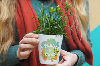Plant Mama Plant Pot, 2 of 3
