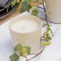 Classic Eco Friendly Scented Candle And Ceramic Mug, thumbnail 7 of 12