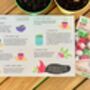Grow Your Own Radish Kit For Children, thumbnail 4 of 4