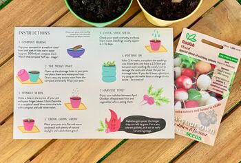 Grow Your Own Radish Kit For Children, 4 of 4