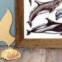 Dolphins Of Britain Wildlife Print, thumbnail 8 of 9