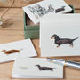Boxed Collection Of Dachshund Gift Cards, thumbnail 3 of 3