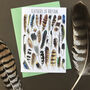 Feathers Of Britain Art Blank Greeting Card, thumbnail 2 of 11