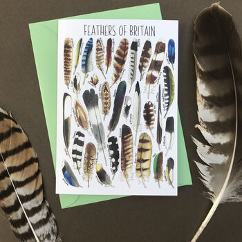 Feathers Of Britain Art Blank Greeting Card, 2 of 11