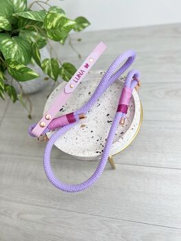 Design Your Own Rope Dog Lead, 2 of 12