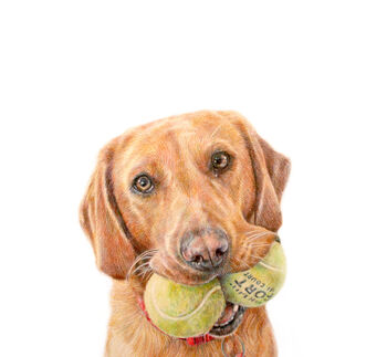 Personalised Pencil Pet Portrait Drawing Or Gift Voucher, 2 of 12