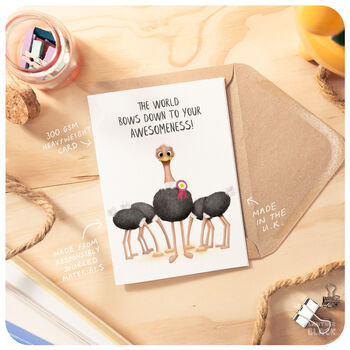 Ostrich Funny Congratulations Well Done Exam Graduation Driving Test General Awesomeness Card You're The Best, 3 of 4