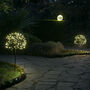 Dandelion Garden Solar Lights, thumbnail 3 of 4