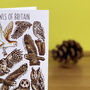 Owls Of Britain Art Blank Greeting Card, thumbnail 3 of 5