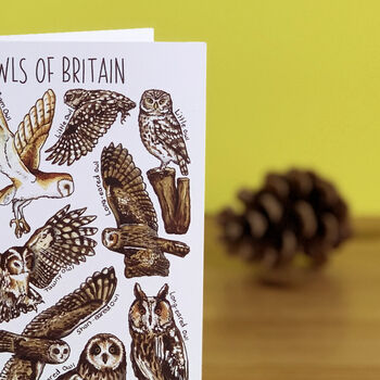 Owls Of Britain Art Blank Greeting Card, 3 of 5