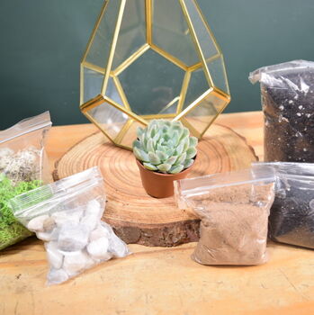 Gold Geometric Terrarium Kit With Succulent Or Cactus, 4 of 12