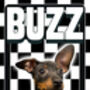 Custom Pet Dog Cat Portrait Checkerboard Print, thumbnail 5 of 5