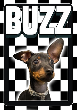 Custom Pet Dog Cat Portrait Checkerboard Print, 5 of 5