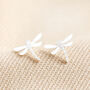 Sterling Silver Dragonfly Stud Earrings, thumbnail 1 of 3