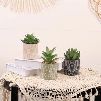 Set Of Three Artificial Succulent Plants In Pot, 4 of 8