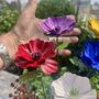 Anemone Garden Stakes Set Of Five, thumbnail 8 of 9