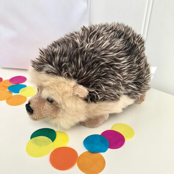 Fluffy Hedgehog In Personalised Gift Bag, 2 of 3