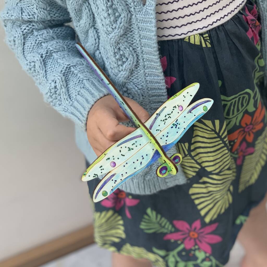 Make Your Own Dragonfly Glider Craft Activity Kit, 1 of 8