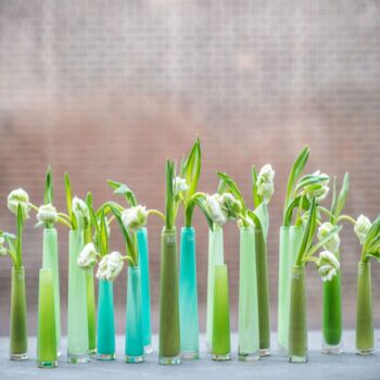 Vase Solifleur Budvase Navy, 2 of 4