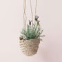 Natural Woven Hanging Planter Basket, thumbnail 2 of 4