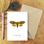 Death's Head Hawkmoth A6 Greetings Cards, thumbnail 1 of 7