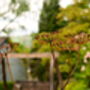 Rusty Metal Cow Parsley, thumbnail 5 of 8