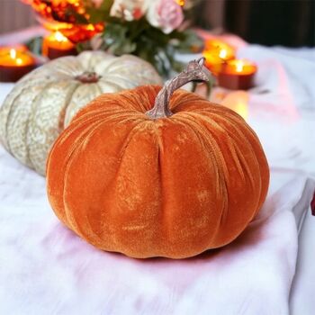 Velvet Pumpkins With Lights, 4 of 6