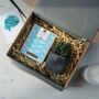 Personalised Indoor Plant And Chocolate Gift, thumbnail 4 of 6