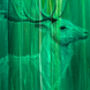 Green Abstract Art, thumbnail 7 of 8