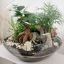 Large Globe Terrarium Kit With Bonsai | 'Portland', thumbnail 5 of 10