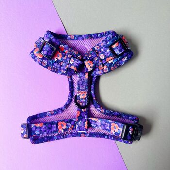 Ditsy Floral Adjustable Padded Dog Harness, 9 of 11