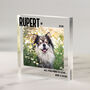 Personalised Dog Photo Acrylic Keepsake Block, thumbnail 1 of 3