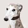 Personalised Pet Portrait Print, thumbnail 10 of 12