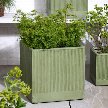 Agri Green Ribbed Planter, 3 of 9