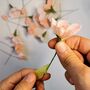 Paper Flower Kit: Blossom, thumbnail 8 of 8