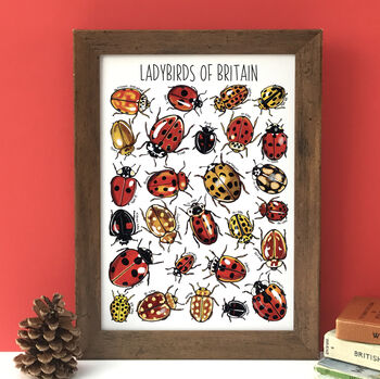 Ladybirds Of Britain Art Blank Greeting Card, 11 of 11