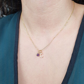 Mini Amethyst Gem And Initial Gold Plated Necklace, 2 of 4