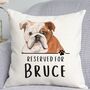 Reserved For Bulldog Cushion, thumbnail 1 of 2