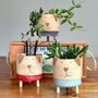 Dog Plant Pots With Legs Handmade Ceramic Tripot, thumbnail 1 of 8