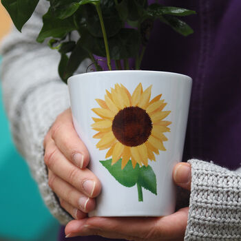 Personalised Sunflower Plant Pot With Seeds, 2 of 3