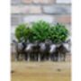 Five Pig Family Planter – 30cm Decorative Flower Pot, thumbnail 3 of 6