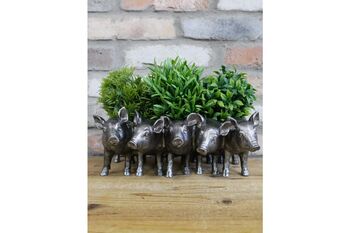 Five Pig Family Planter – 30cm Decorative Flower Pot, 3 of 6