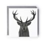 Majestic Stag Greeting Card, thumbnail 1 of 4