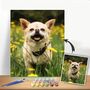 Personalised Pet Portrait Photo Custom Paint By Numbers, thumbnail 2 of 3